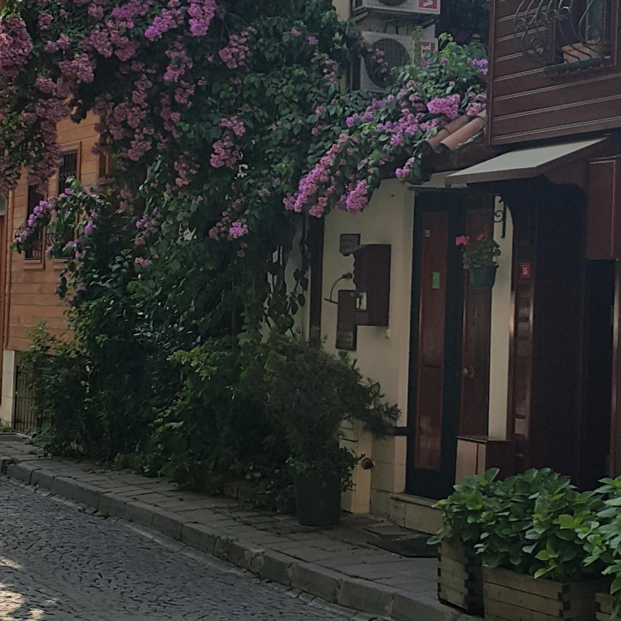Villa Sphendone Suites Istambul Extérieur photo